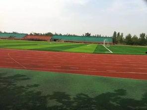 吃瓜操场视频下载免费,免费下载背后的真相